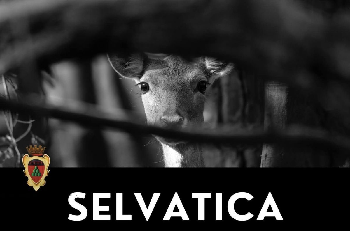 Selvatica- La natura attraverso gli occhi delle donne