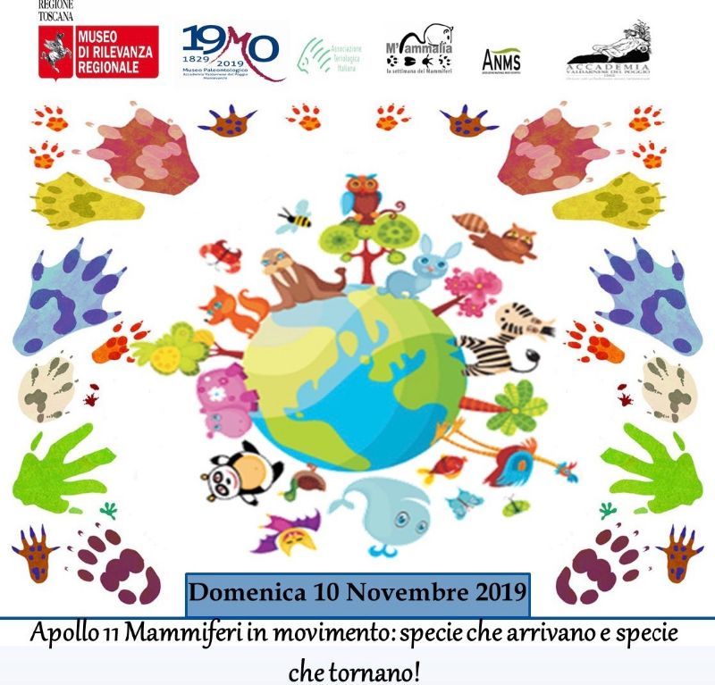 I LABORATORI DI NOVEMBRE DEL MUSEO PALEONTOLOGICO DI MONTEVARCHI