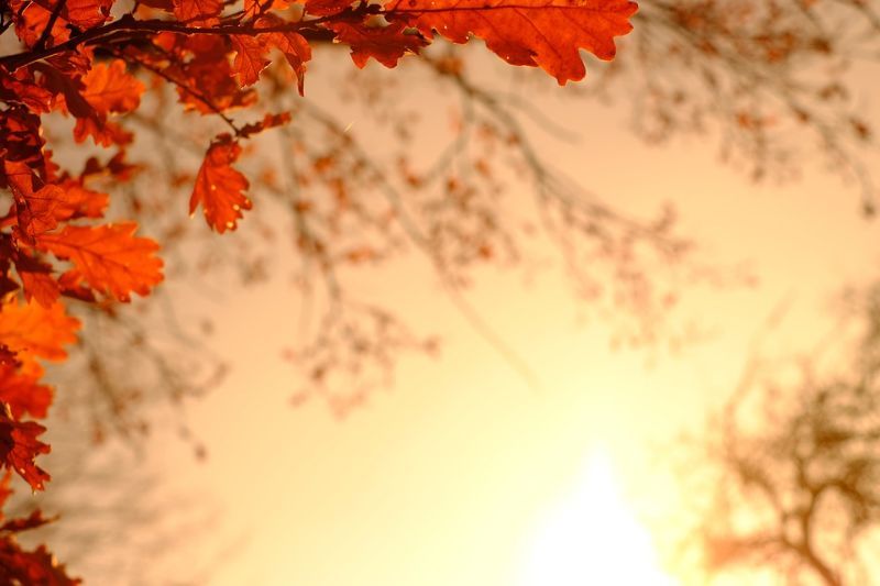 AUTUNNO TREK: DA LORO CIUFFENNA A POGGIO DI LORO
