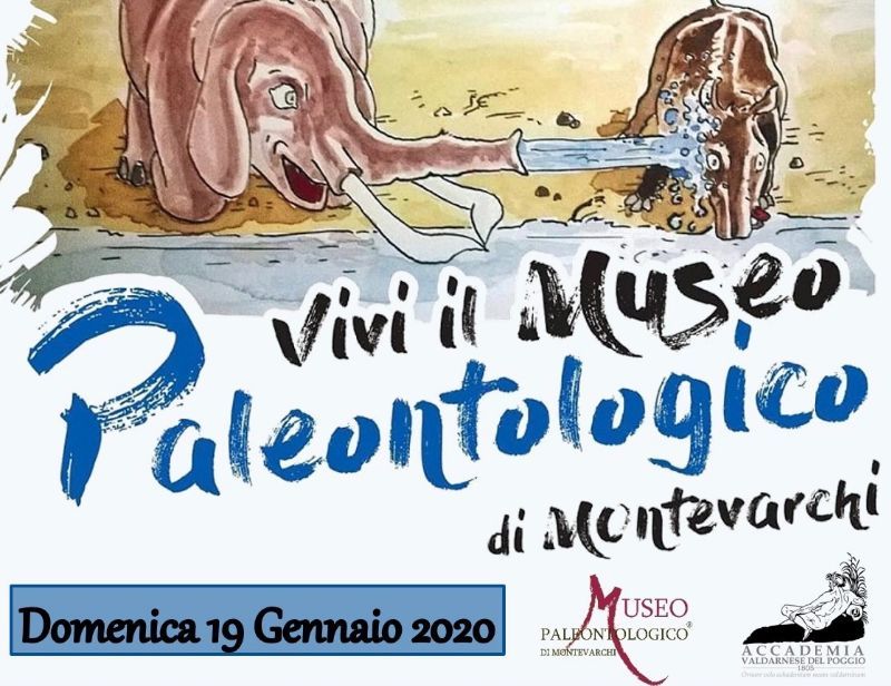ASSAGGI DI DIDATTICA - PRESENTAZIONE DEL NUOVO VIVI IL MUSEO 2020 