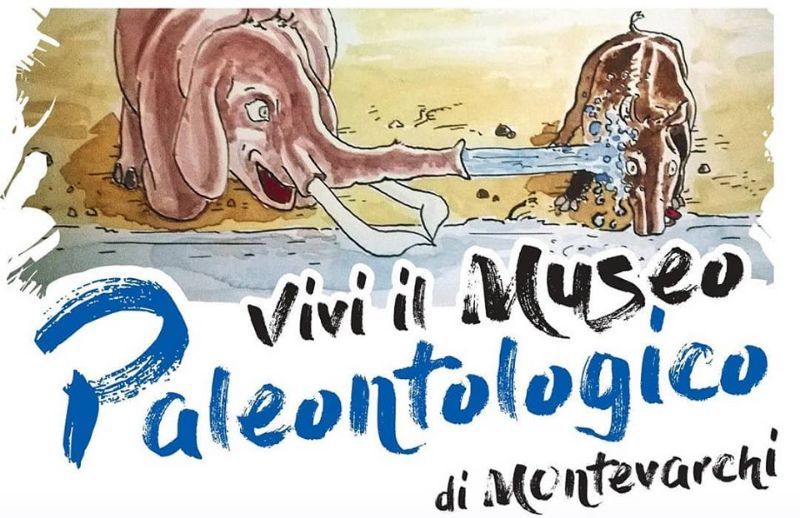 Un Museo mostruoso…