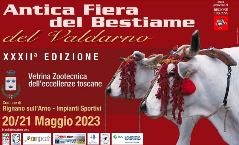 Antica Fiera del Bestiame del Valdarno 2023