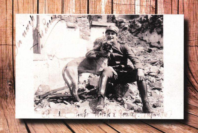 VITTORIO LOCCHI. UN PROTAGONISTA DELLA STORIA E CULTURA DEL NOVECENTO