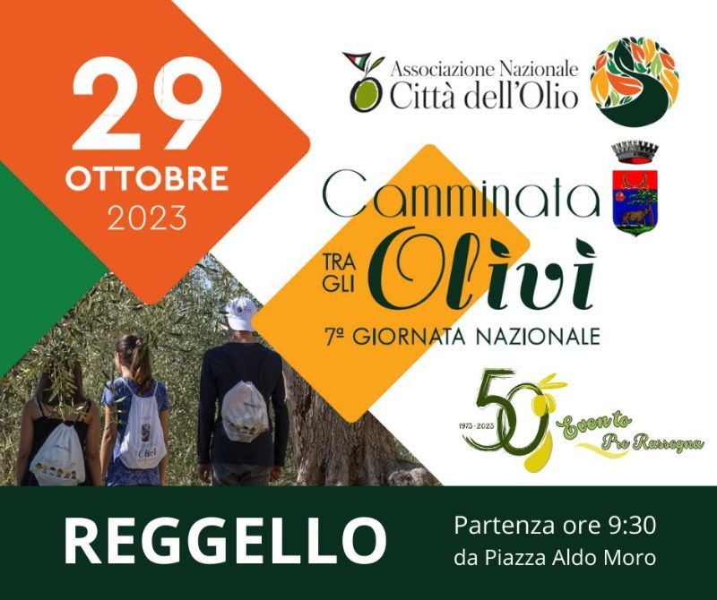 La Camminata tra gli Olivi