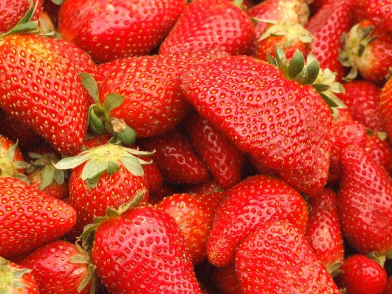 38° Sagra delle fragole con panna 