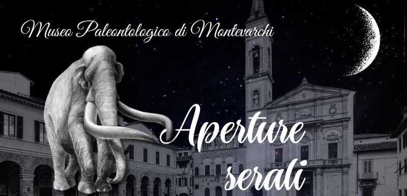 APERTURE SERALI DI LUGLIO MUSEO PALEONTOLOGICO