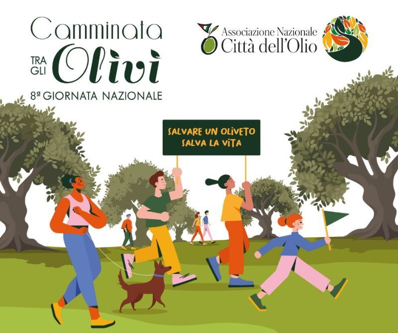 Camminata tra gli ulivi 