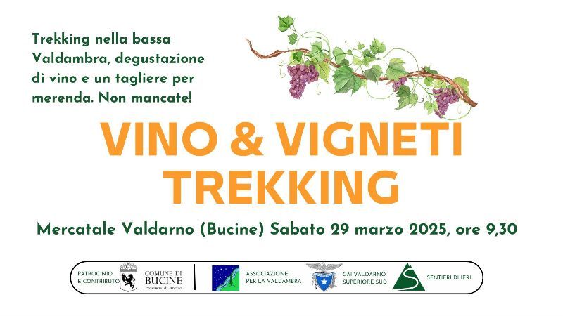 VINO & VIGNETI TREKKING