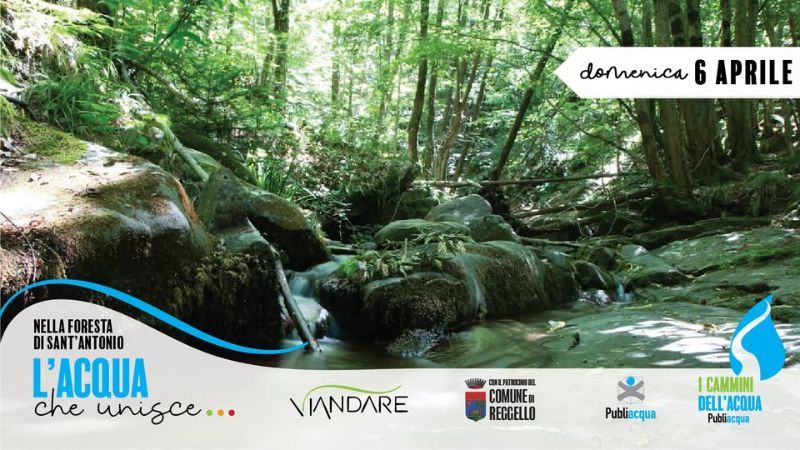 I Cammini dell'Acqua: L'acqua che unisce