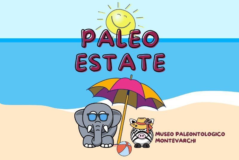 CAMPI ESTIVI PALEO ESTATE 2025