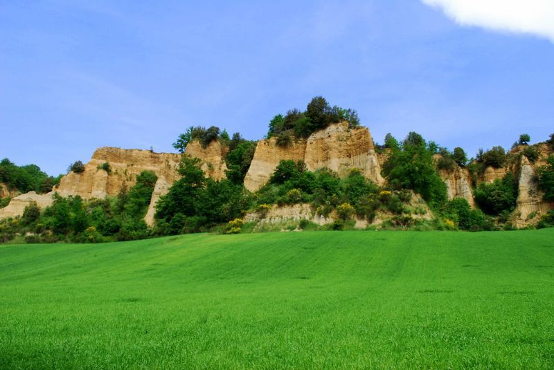  I° Festival le Balze del Valdarno