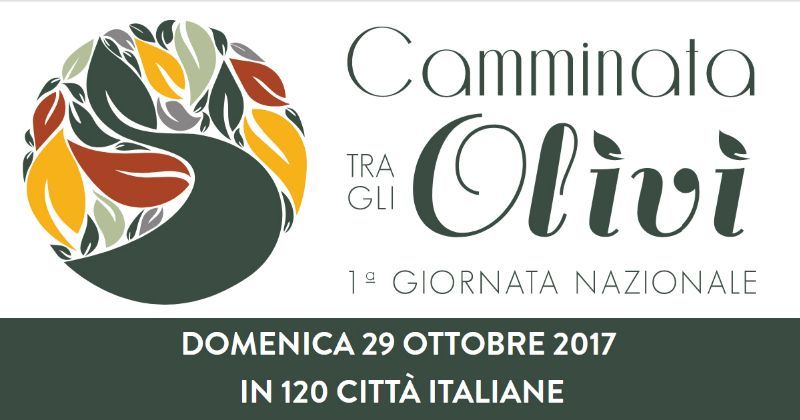 CAMMINATA TRA GLI OLIVI A REGGELLO