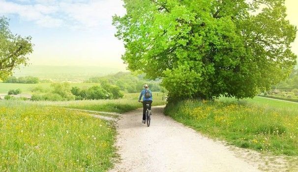 Valdarno Bike Road