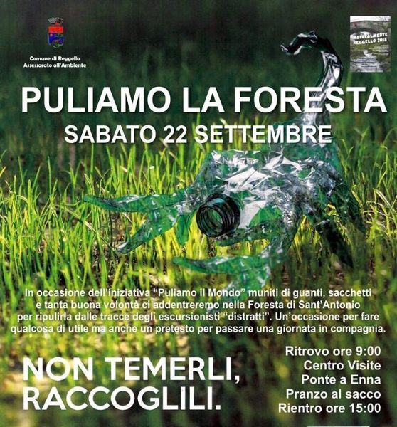 NATURALMENTE REGGELLO: PULIAMO LA FORESTA - NOTTURNA NEL BOSCO - PONTE A ENNA ZERO-TRE