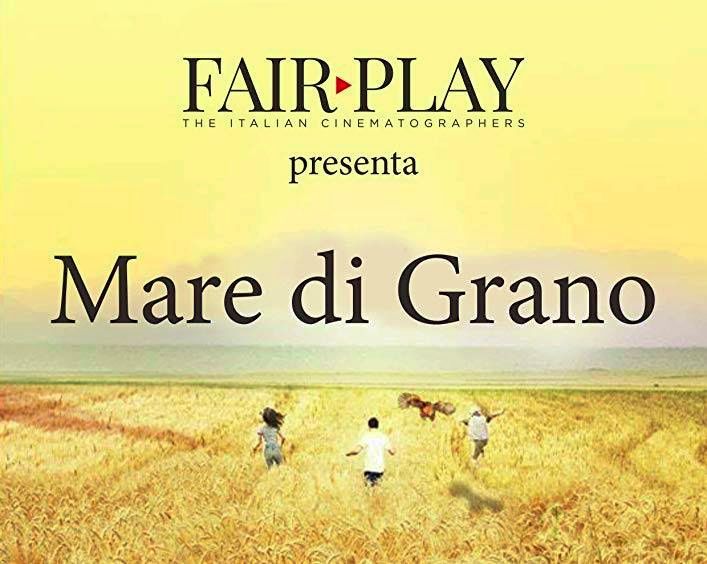 MARE DI GRANO - UNA FIABA TUTTA TOSCANA 
