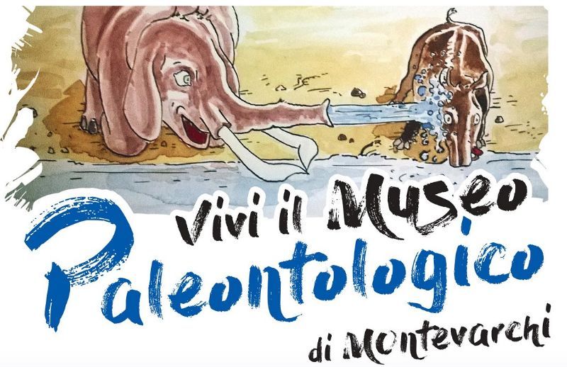 ARMIAMOCI E PARTITE!