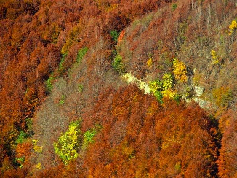 REGGELLO TREK 
