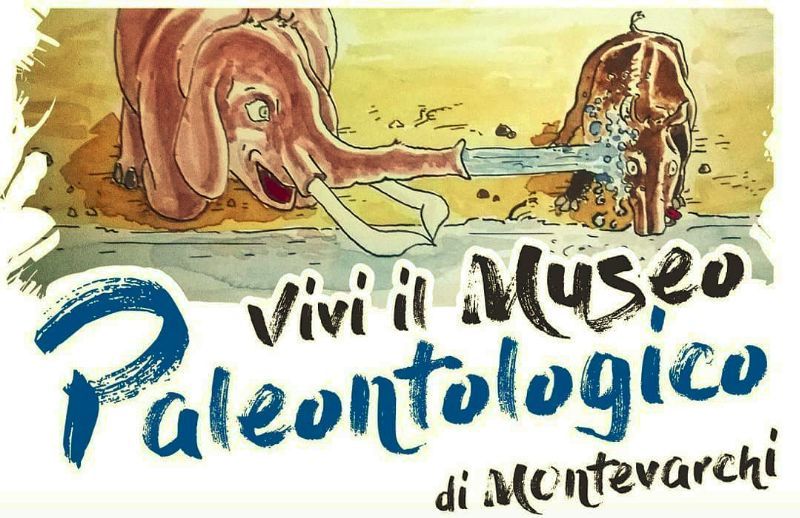BUONANOTTE AL MUSEO – IL GIRO DEL MONDO IN UNA NOTTE!