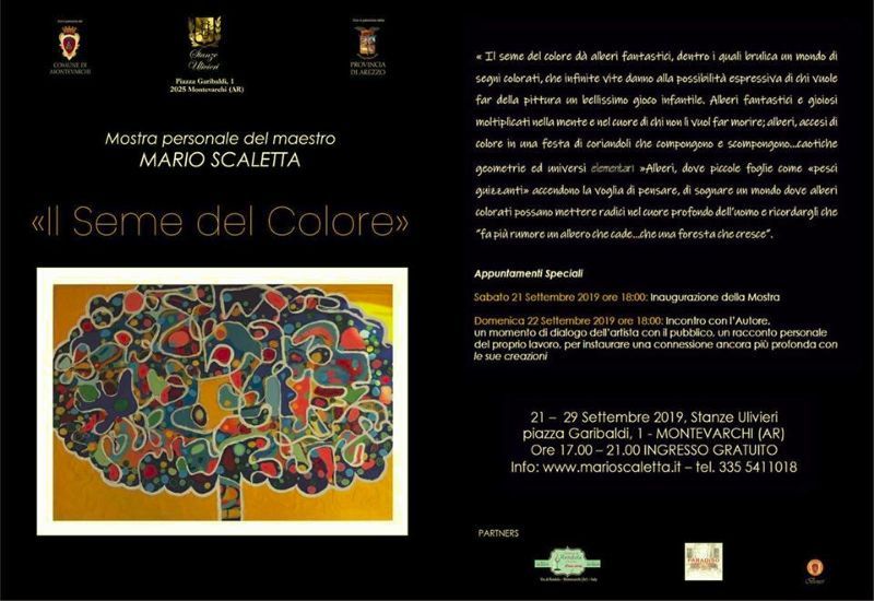 IL SEME DEL COLORE
