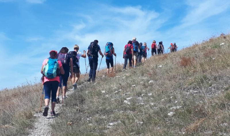 BIO-PASSEGGIATA CON DEGUSTAZIONI E PRANZO VEGETARIANO