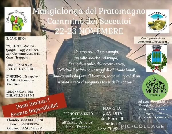 MANGIALONGA DEL PRATOMAGNO 