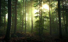 SULLE ORME DEGLI SCRITTORI - ESCURSIONE