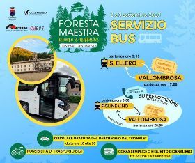 Foresta Maestra