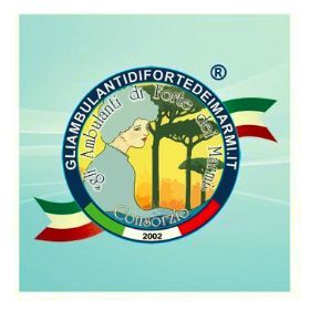 IL MERCATO DEL FORTE DEI MARMI