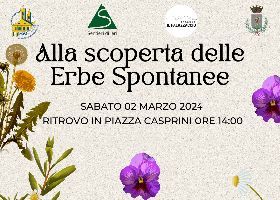 Alla scoperta delle erbe spontanee Marzo 2024