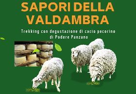 2° appuntamento con i "sapori della Valdambra 2024"