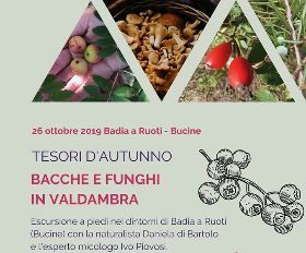 TESORI D'AUTUNNO. BACCHE E FUNGHI IN VALDAMBRA